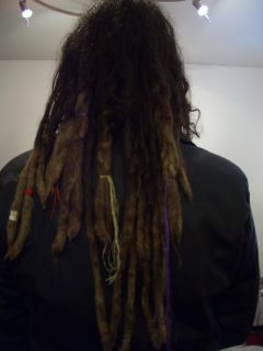 Piepsis lange Dreadlocks, Ansicht von hinten